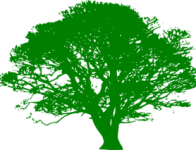 green-tree-silhouette-md.png
